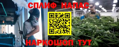гашик Новокубанск